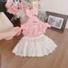 Set nơ
