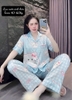 Lá Kitty Xanh
