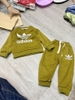 Adidas rêu