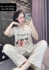 Lá Chấm Bi