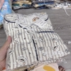 Kẻ nâu nhỏ