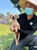 Kun