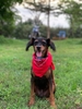 MILO