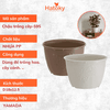 Chậu trồng cây-595