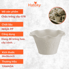 Chậu trồng cây-578