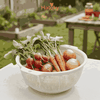 Rổ đựng vật dụng-D507