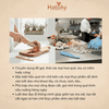 Dao gọt hoa quả-0347-481