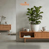 Chậu trồng cây-595