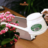 Bình Tưới Cây Tiện Lợi Nakaya