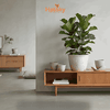 Chậu trồng cây-594
