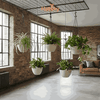 Chậu trồng cây-376