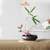 Bình tưới cây-V047