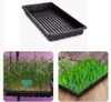 Khay gieo hạt B3  bằng nhựa dày 550 x 280mm màu đen