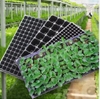 Khay nhựa ươm cây S2