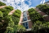 Biophilic Design là gì? Cách ứng dụng hiệu quả trong trang trí không gian tại Việt Nam