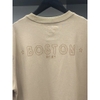 Áo Thun New Era Boston Red Sox ''Brown Turquoise' - 14341311