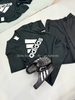 Áo Adidas Essentials Single Jersey Big Logo T-Shirt - IC9347