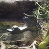 Dép Adidas Sandal Terrex Hydroterra  ĐEN - ID4269