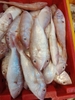 THỊT - HẢI SẢN TƯƠI SỐNG