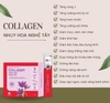 COLLAGEN NHỤY HOA NGHỆ TÂY