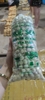 RAU CỦ QUẢ