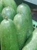 RAU CỦ QUẢ