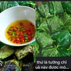 MÓN CÁ