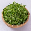 RAU CỦ QUẢ