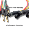 Dây canon Đực ra 6 Ly Stereo