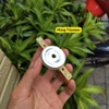 Coil 250 màng titan đục lỗ