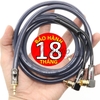 Cáp 3.5 ra 2 đầu AV Liton , Giá 01 sợi