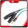 Dây 3.5mm ra 2 đầu canon Cái