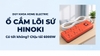 Ổ cắm lõi sứ Hinoki có tốt không? Cấu tạo, các loại 2/3/4/6 lỗ và cách chọn