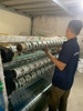 Băn Keo Trong, Băng Keo Đục, Băng Keo Màu Các Loại, Băng Keo Cảnh Báo OPP