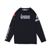 Gisdio 2