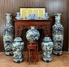 Men tràm rong cổ.