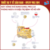 B.Well Swiss PRO-115 - Máy Xông Khí Dung Phòng Và Điều Trị Bệnh Đường Hô Hấp