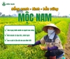🌿 MỘC NAM - CHỌN LỐI SỐNG XANH, SỐNG LÀNH TỪ NHỮNG ĐIỀU NGUYÊN BẢN 🌿