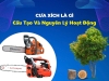 Tìm Hiểu Về Cấu Tạo Và Nguyên Lý Hoạt Động Của Máy Cưa Xích
