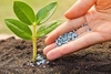 Hóa chất phân bón và nông nghiệp
