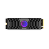 Lexar® Professional NM1090 PCIe 5.0 SSD