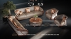 bo-sofa-go-oc-cho-04