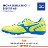 MONARCIDA NEO II SELECT AS P1GD232554