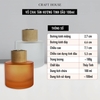 Vỏ Chai Tán Hương Tinh Dầu Kèm Nút Chặn 100ml - M3 Frosted
