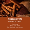 Tinh Dầu Làm Nến, Tán Hương, Nước Hoa, Mỹ Phẩm Craft House Basic Fragrance Oils - Cinnamon Stick