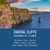 Tinh Dầu Thơm Làm Nến, Tán Hương, Mỹ Phẩm Craft House Luxury Fragrance Oils - Coastal Cliffs