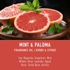 Tinh Dầu Thơm Làm Nến, Tán Hương, Mỹ Phẩm Craft House Luxury  Fragrance Oils - Mint Paloma