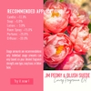 Tinh Dầu Thơm Làm Nến, Tán Hương, Mỹ Phẩm Craft House Luxury Fragrance Oils - JM Peony & Blush Suede