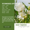 Tinh Dầu Thơm Làm Nến, Tán Hương, Mỹ Phẩm Craft House Luxury Fragrance Oils - Night Tuberose