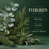 Craft House Fragrance Oils - Evergreen